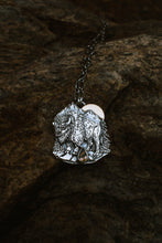 Load image into Gallery viewer, Bison Necklace