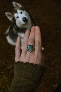Aelin's Ring size 8